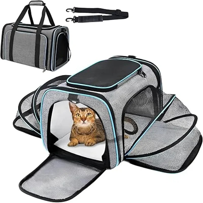 Foldable Backpack Small - حقيبة ظهر محمولة قابلة للطي وذات