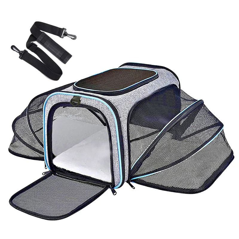 حقيبة ظهر محمولة قابلة للطي وذ - مراجعة Foldable Backpack Small وسعره
