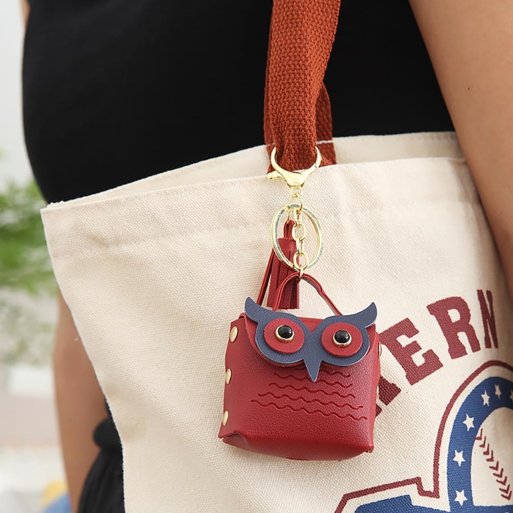 محفظة نقود صغيرة مع سلسلة مفات - مراجعة Backpack Insert Organizer وسعره