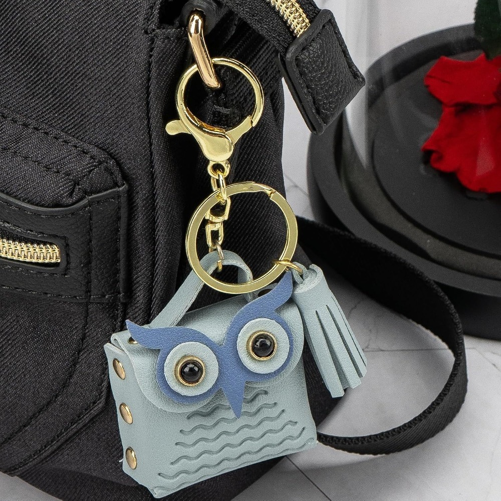 محفظة نقود صغيرة مع سلسلة مفات - مراجعة Backpack Insert Organizer وسعره